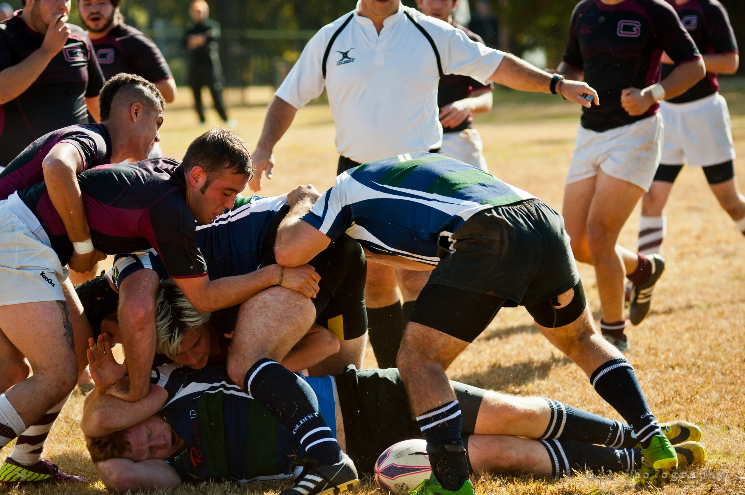RvGCFall14-11.jpg