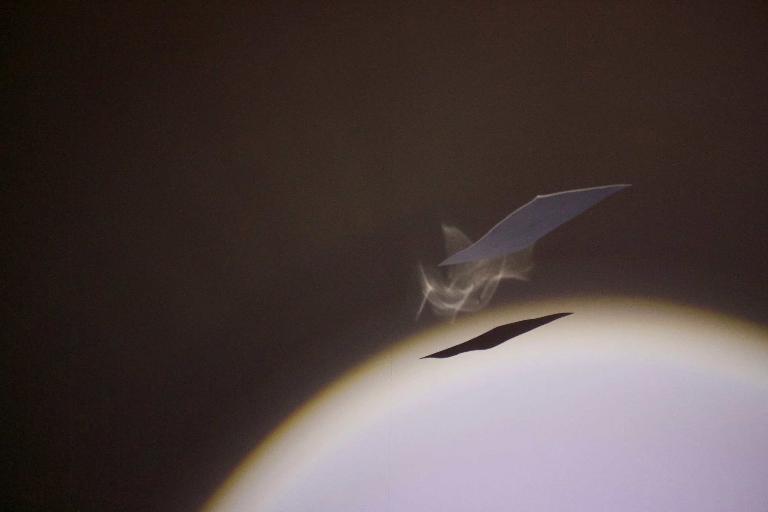 light-photo-1.jpg