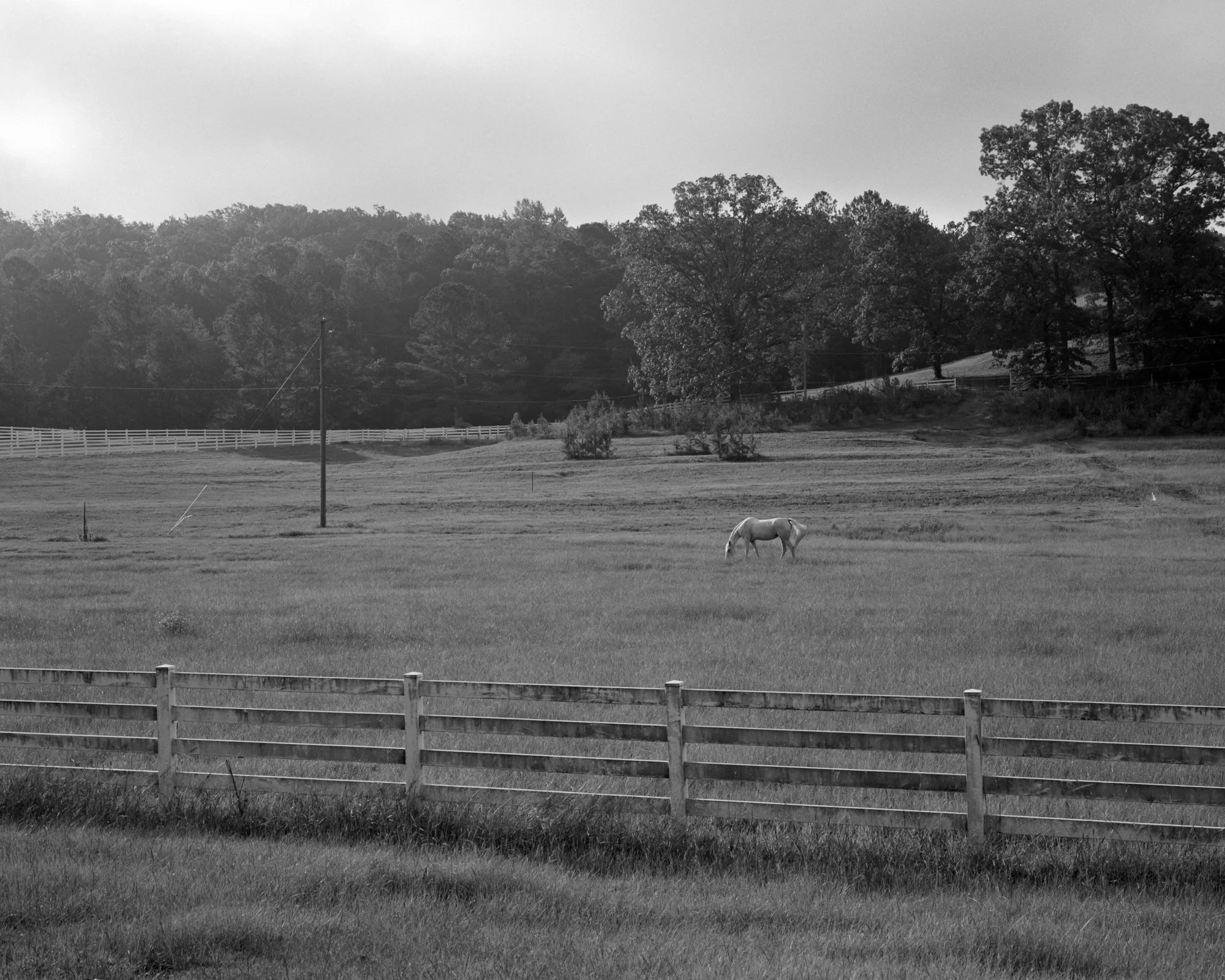 202408_120_8-1.jpg