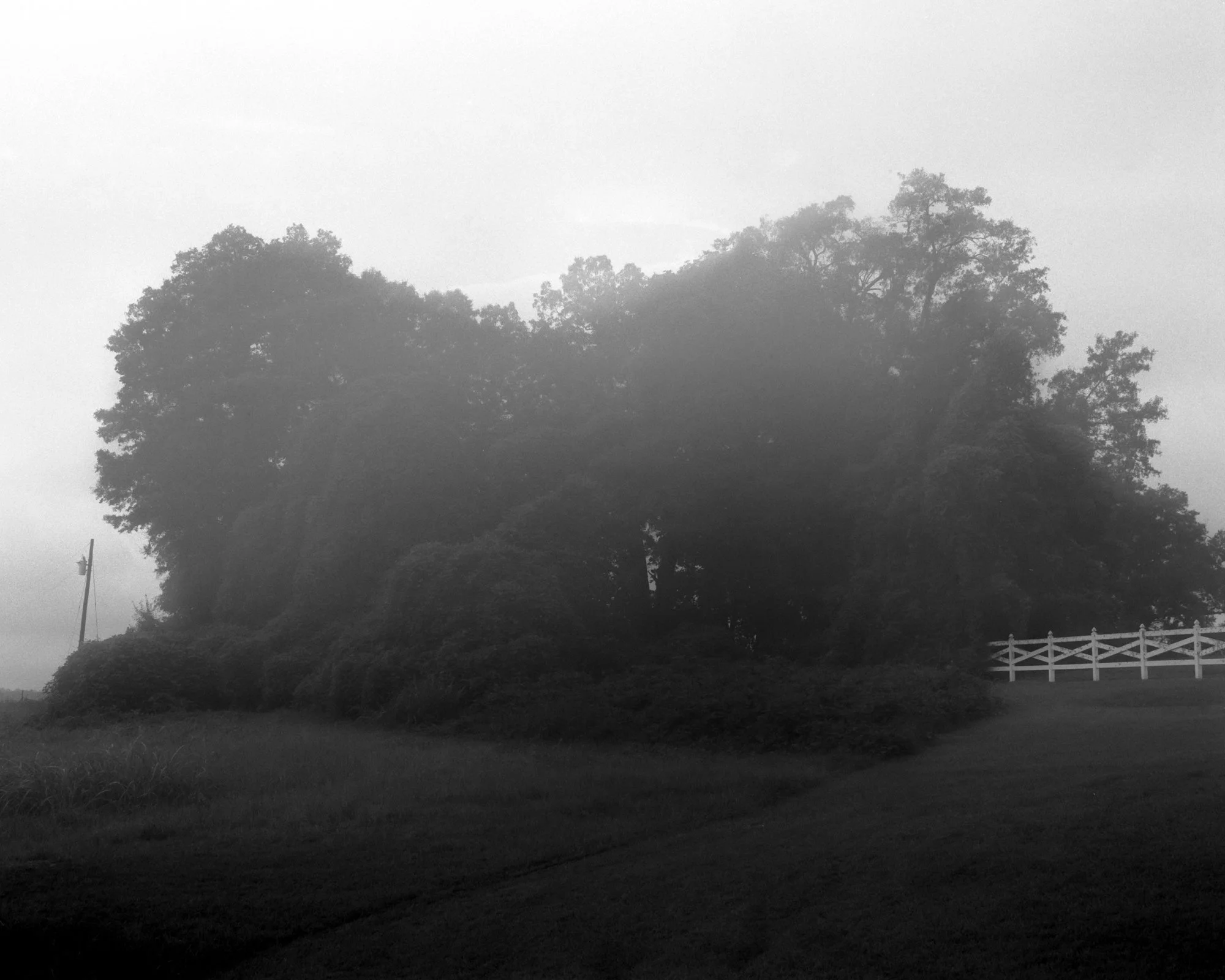 202408_120_8-2.jpg