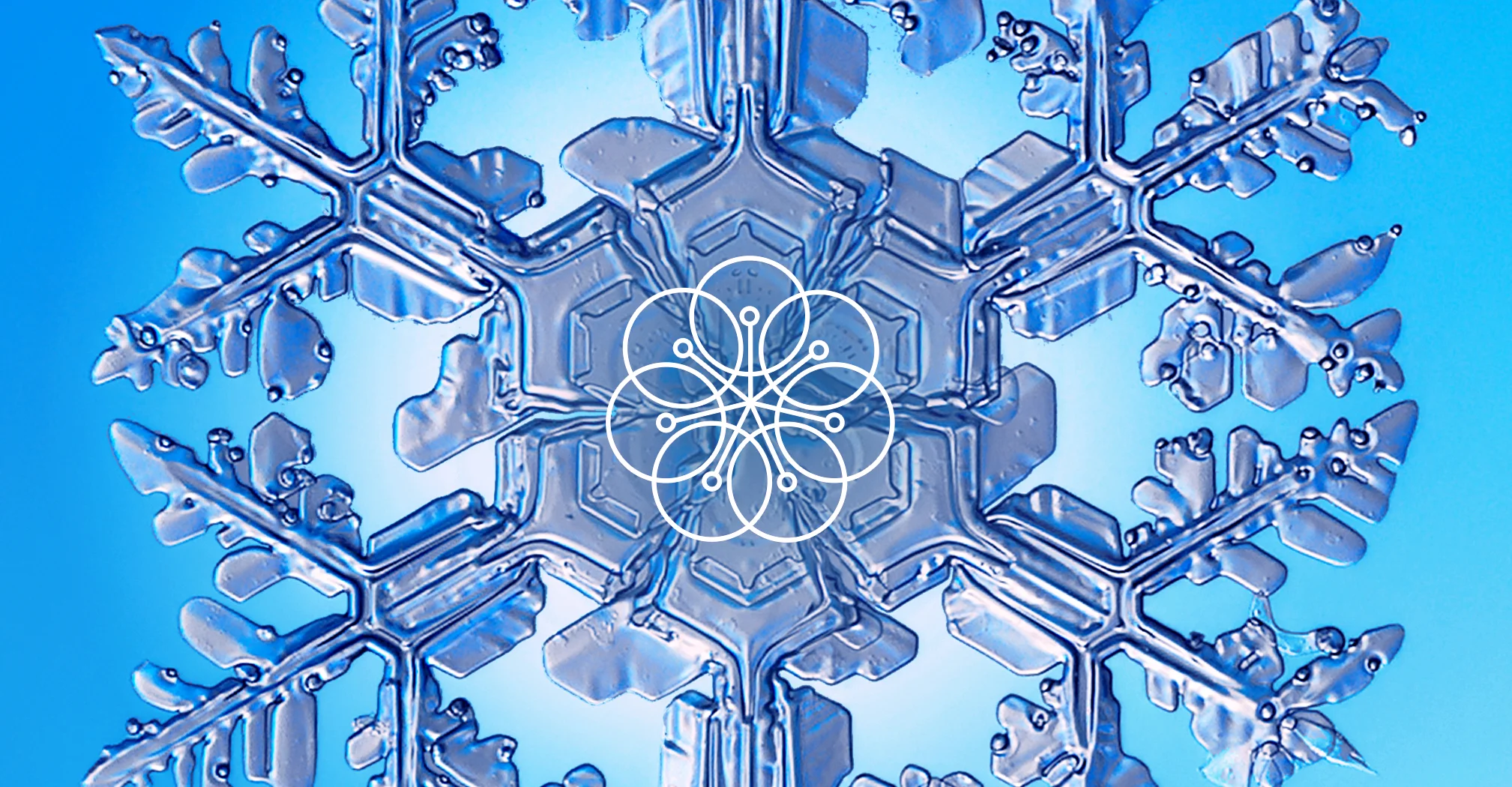 It’s Finally Here! Announcing… Wholetones Christmas: Volume I