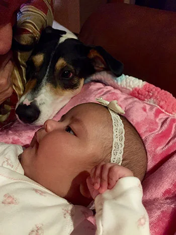 Restoring Your Innocence