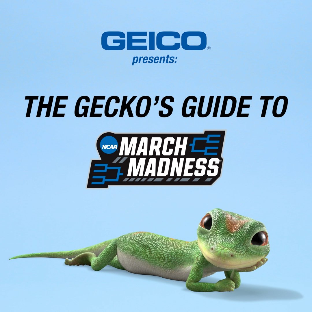 GEICO - Gecko's Guide - Cutting The Net // Editor