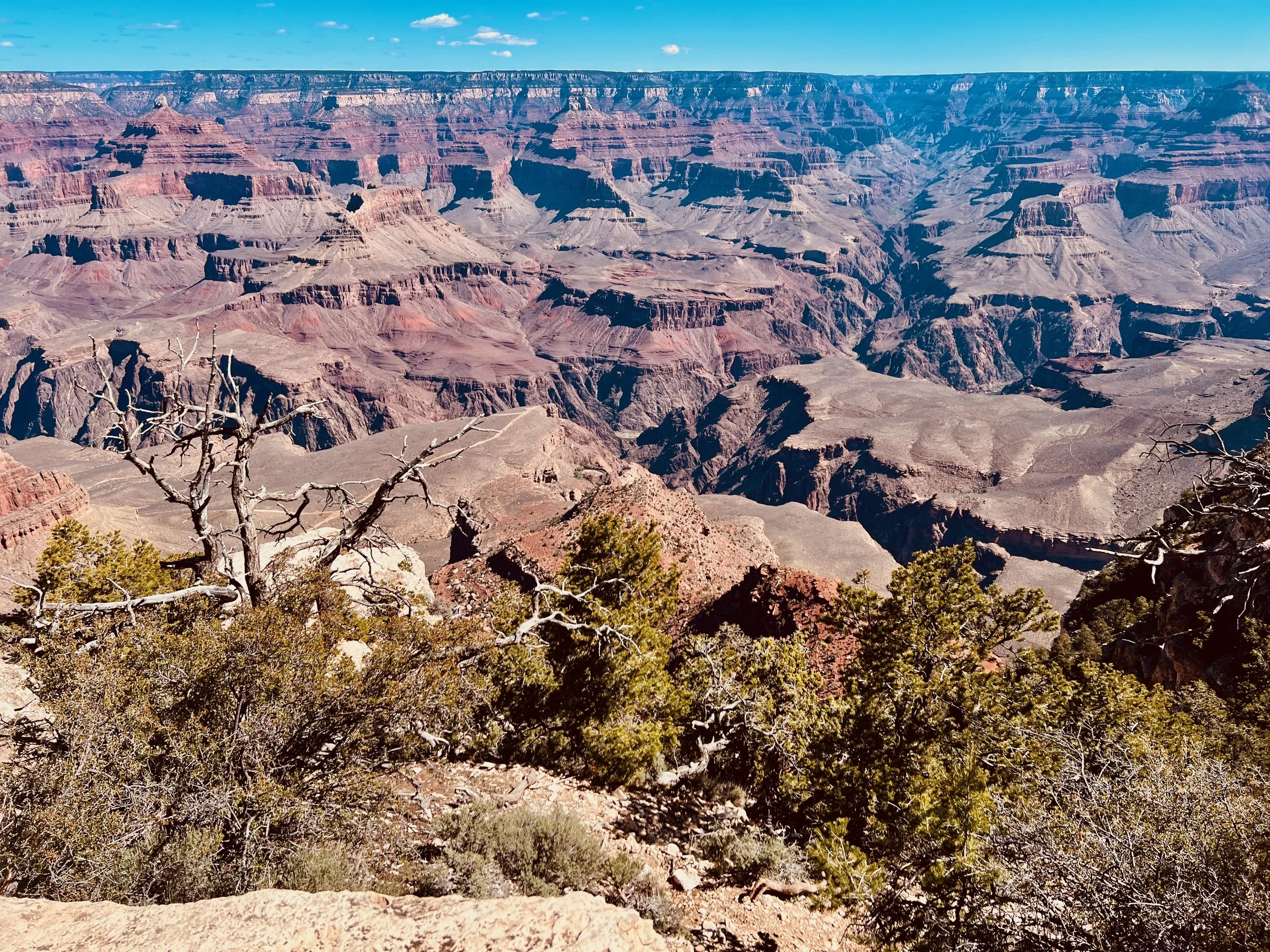 IMG_3640.jpeg
