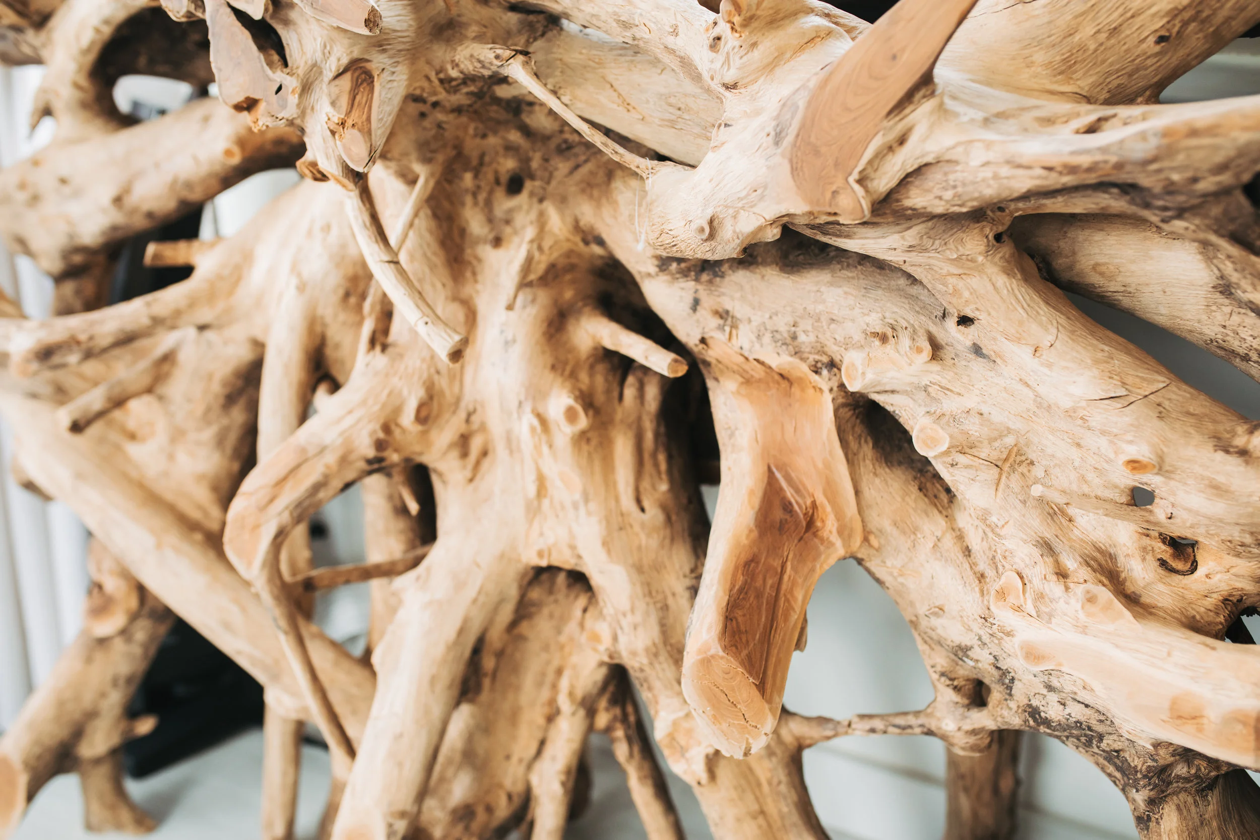 katherine_mendieta_seattle_tree_root_table_houseboat-18.jpg