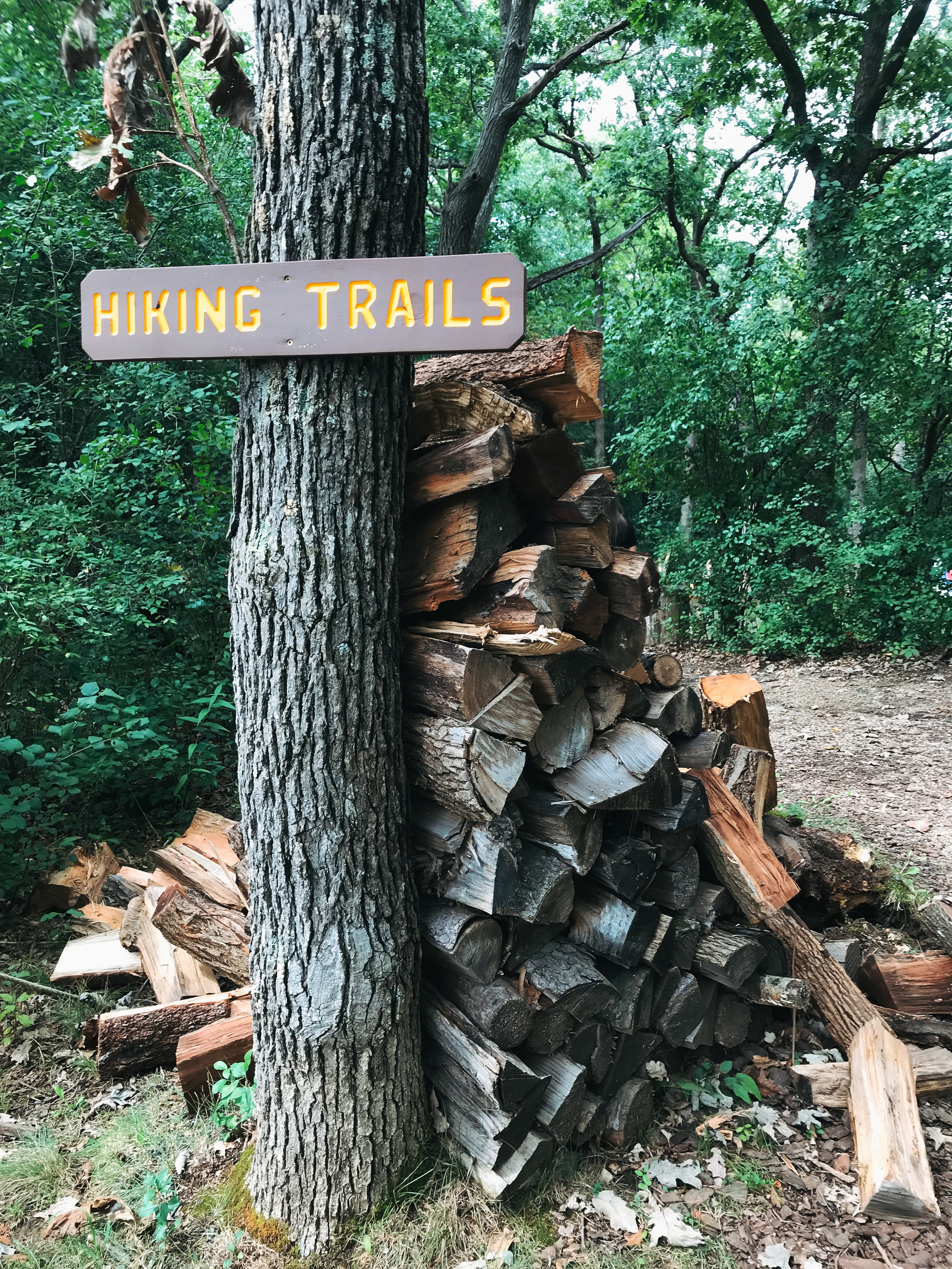 hiking_trails_camp_wisconsin_firewood.jpg