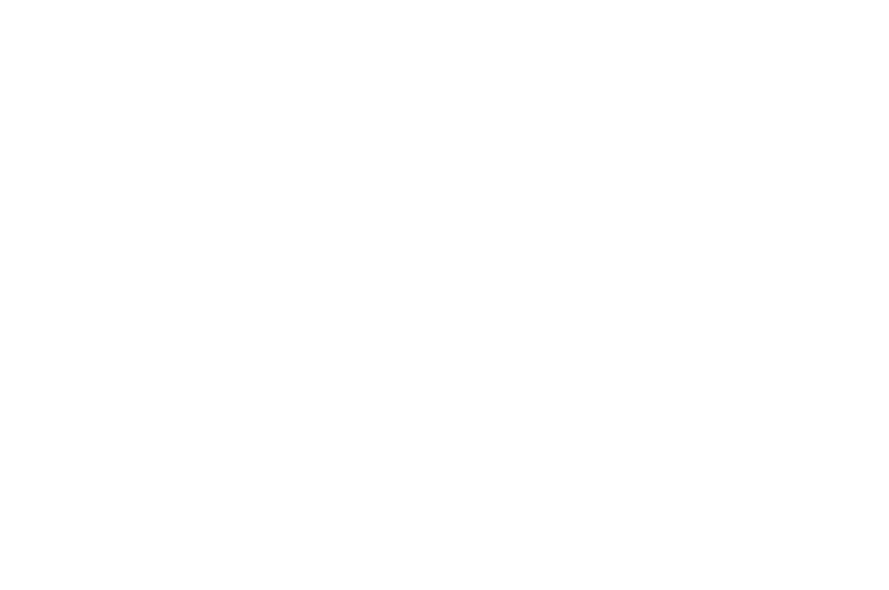 MOUNTAIN FILM FESTIVAL - Official Selection - 2019.png
