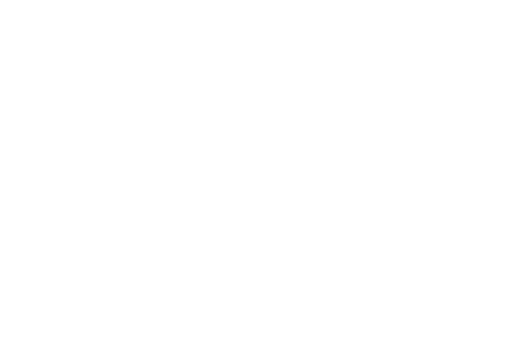 WINNER - BEST COMMERCIAL 2020 - Colorado Film and Video Association.png