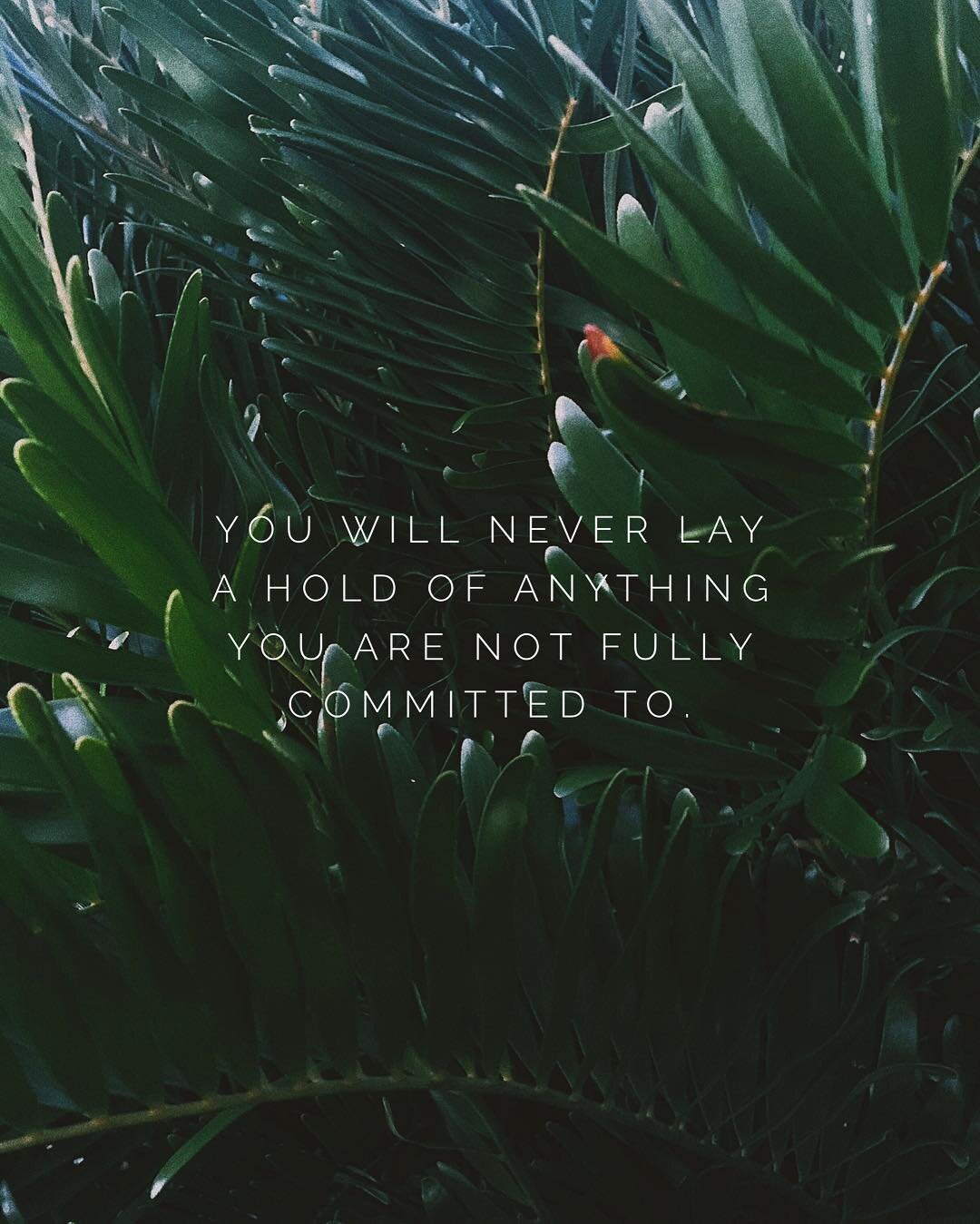 &ldquo;You will never lay a hold of anything you are not fully committed to.&rdquo; @pastorwilliammcdowell