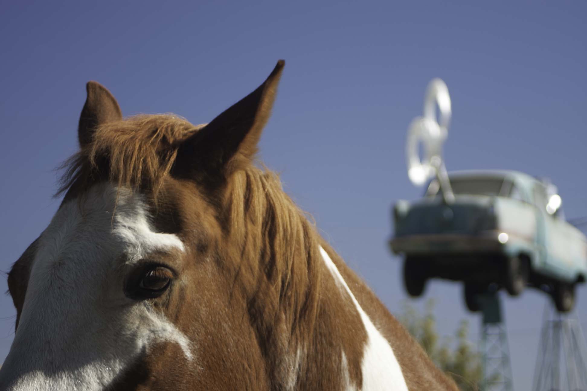 glashoff horse and buggy.jpg