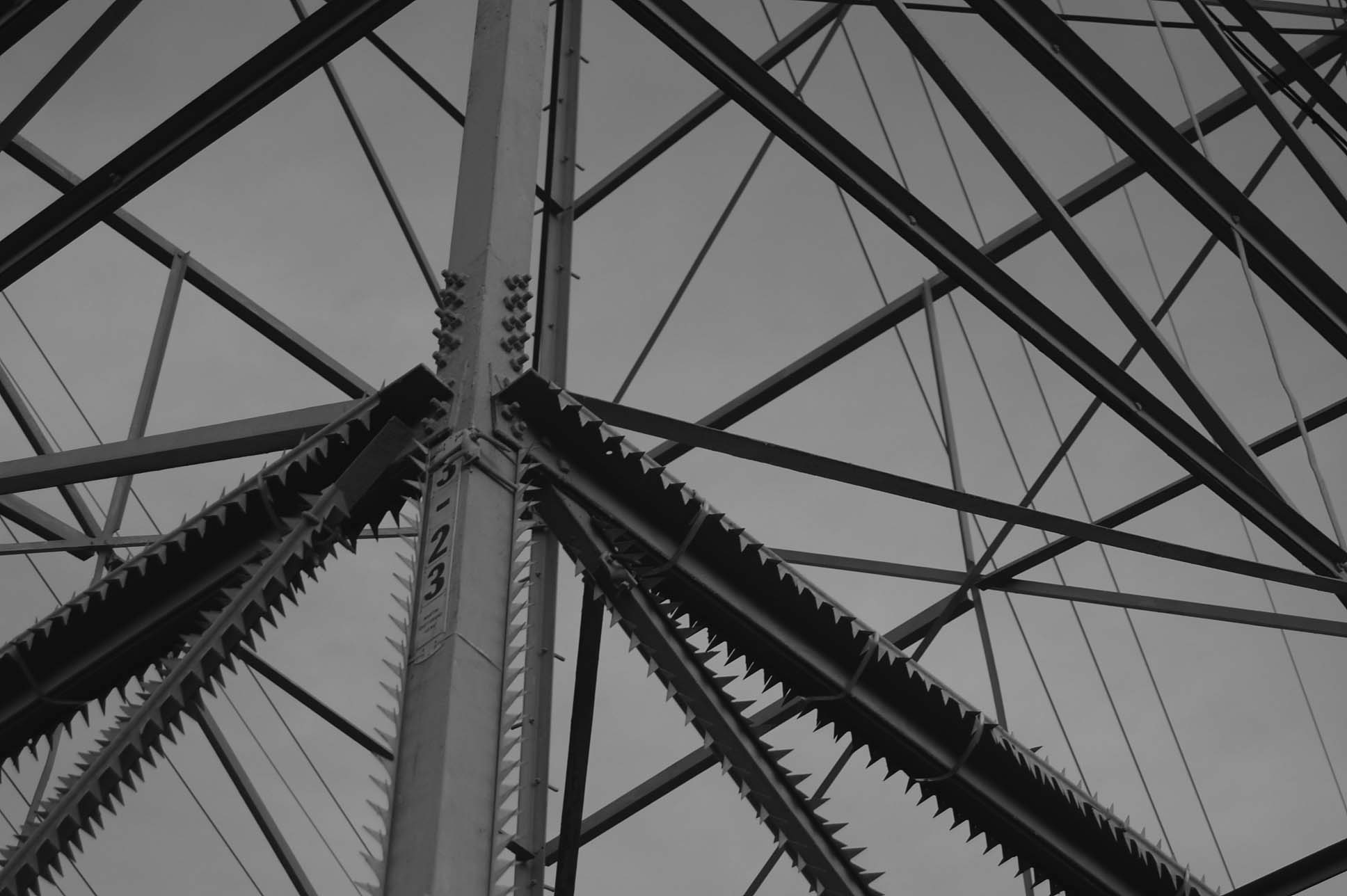 powerlines224bw.jpg