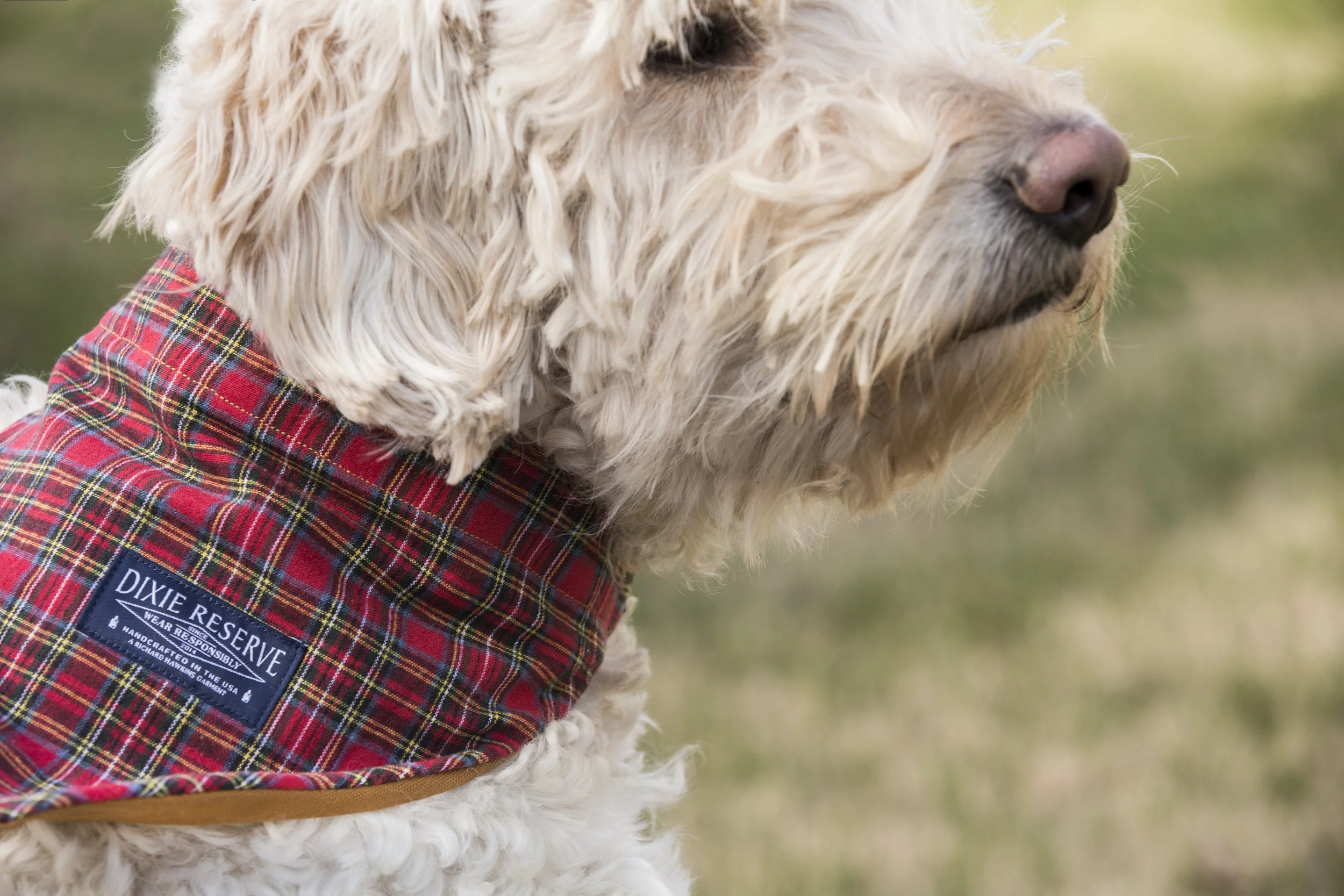 crew bandana1.jpg