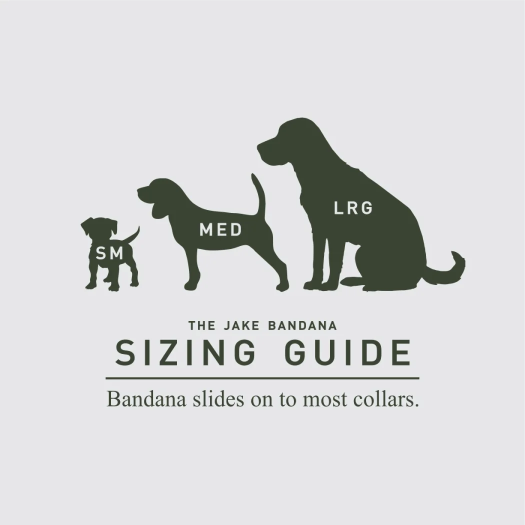 JAKE BANDANA SIZING GUIDE.jpg