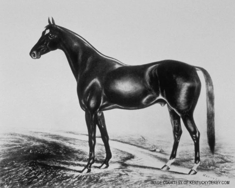 aristides copy.jpg