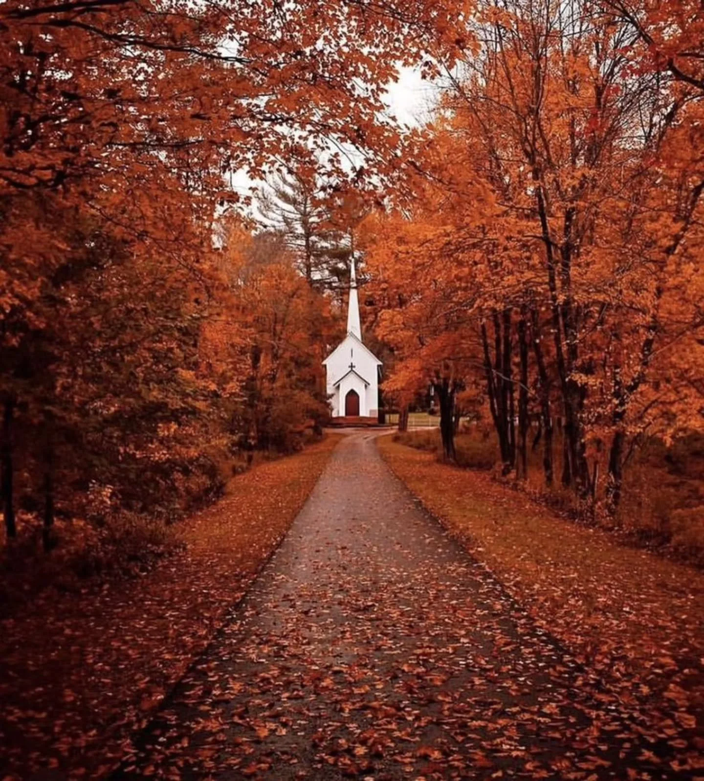 Sunday mornin'.
. 
.
📷 : unknown
.
.
#photography #offthegrid #seetheworld #explore #sunday #sundayvibes #village #sundaybest #littlewhitechurch #sundaymorning #architecture #adventure #churchesofinstagram #DRCOchurch