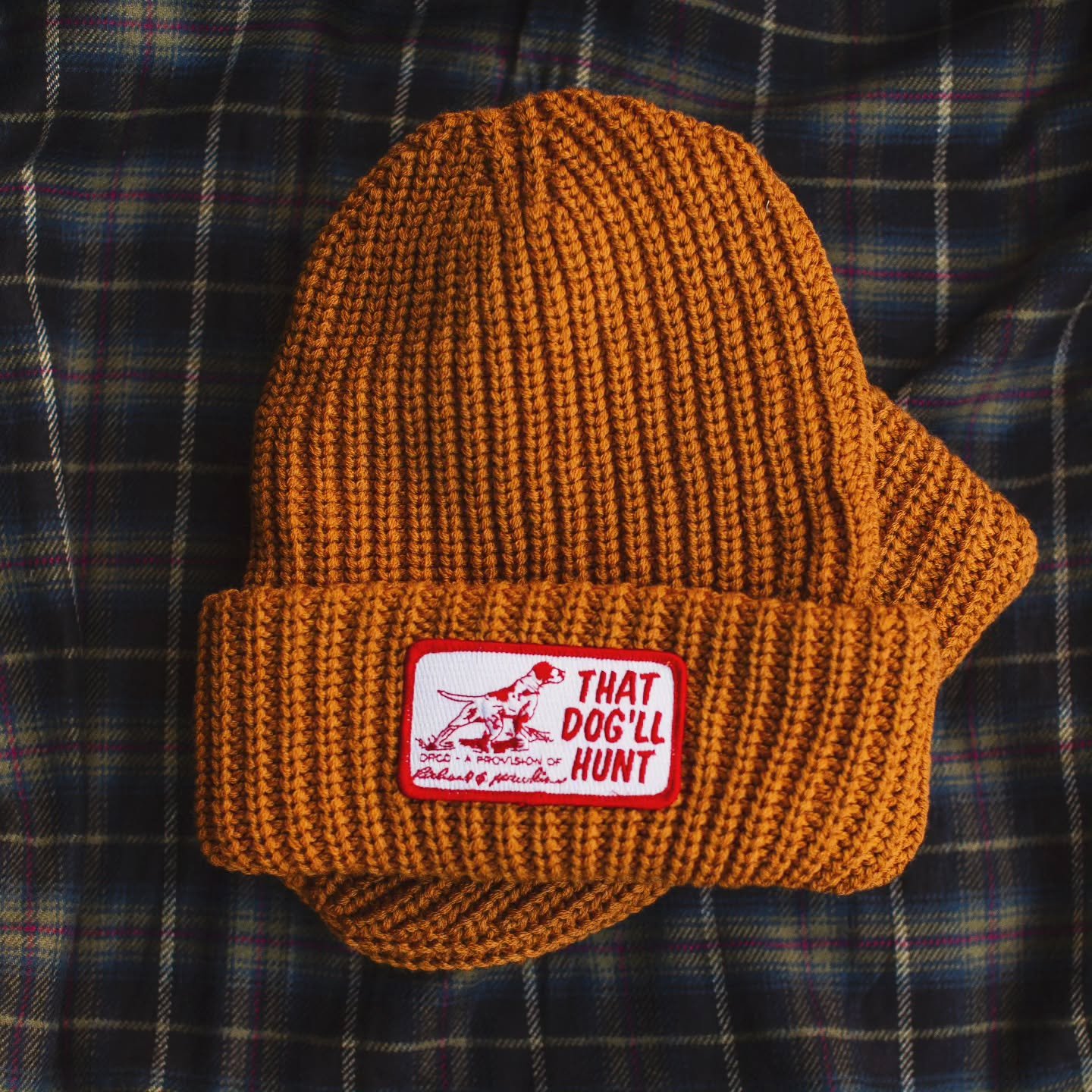 Is "the dog days of winter" a thing?
#thatdogllhunt