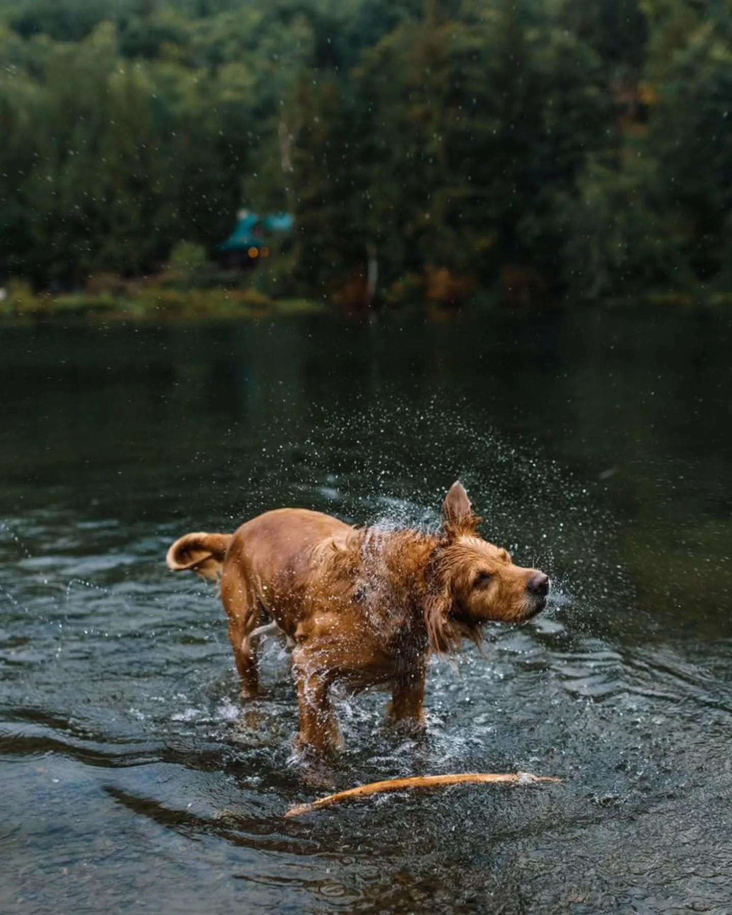 mode: weekend.

📷: millieprojectorg