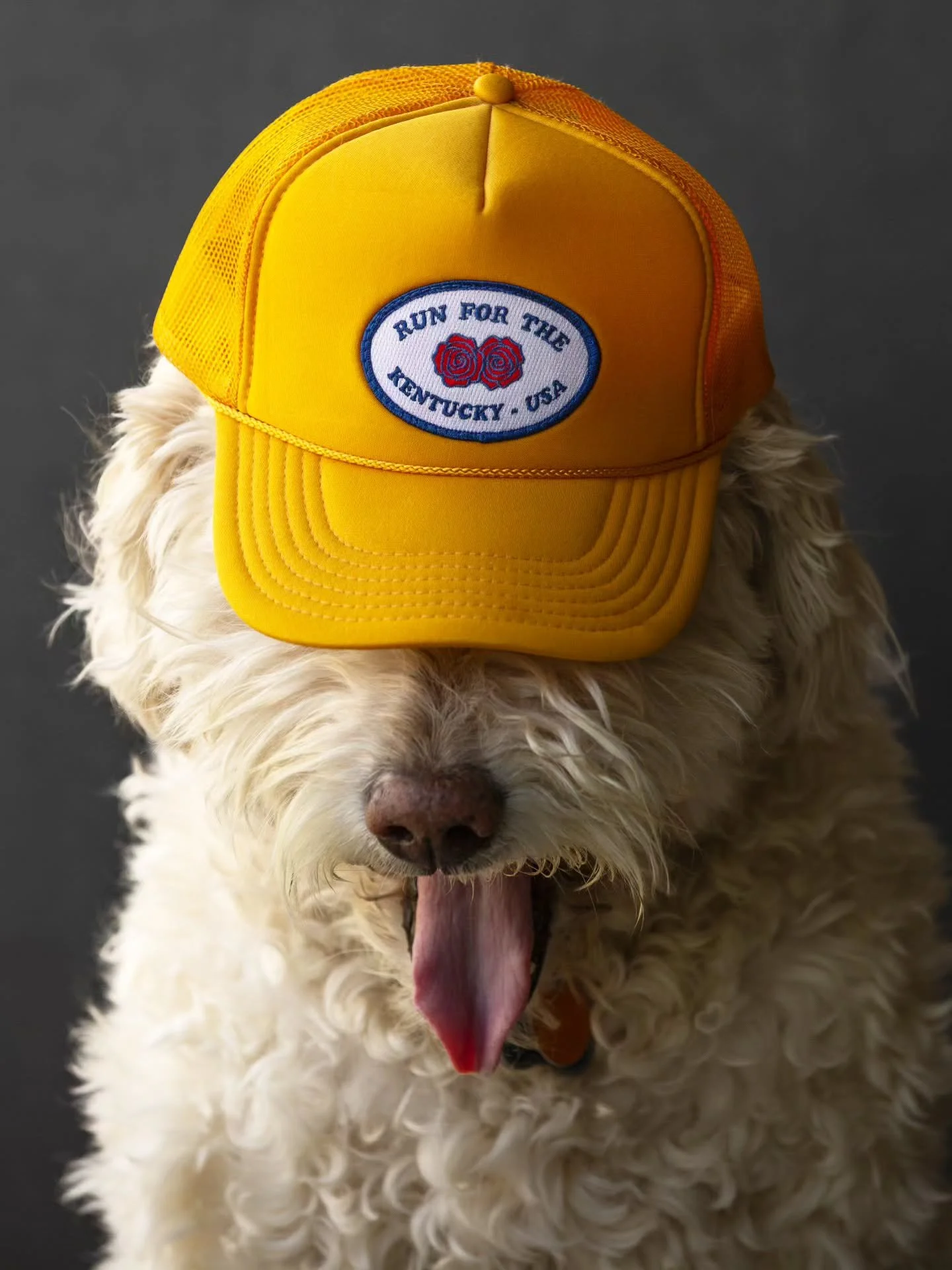 Dog tired after the Derby! Spring is the busiest season around here. The work hours since the weeks leading up to The Masters have been non-stop in fact. Going to take a few days to slow down, clean up the office, get some things done on the homefron