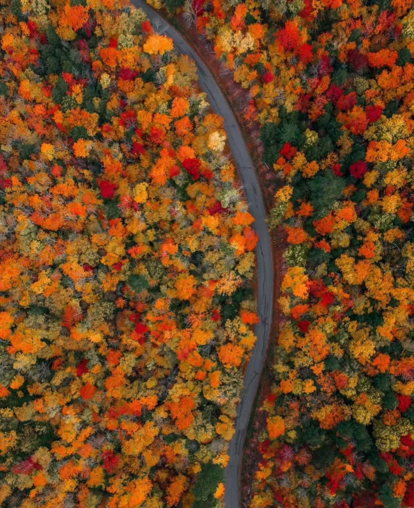 hello, fall. #autumn 

📷: @kylefinndempsey