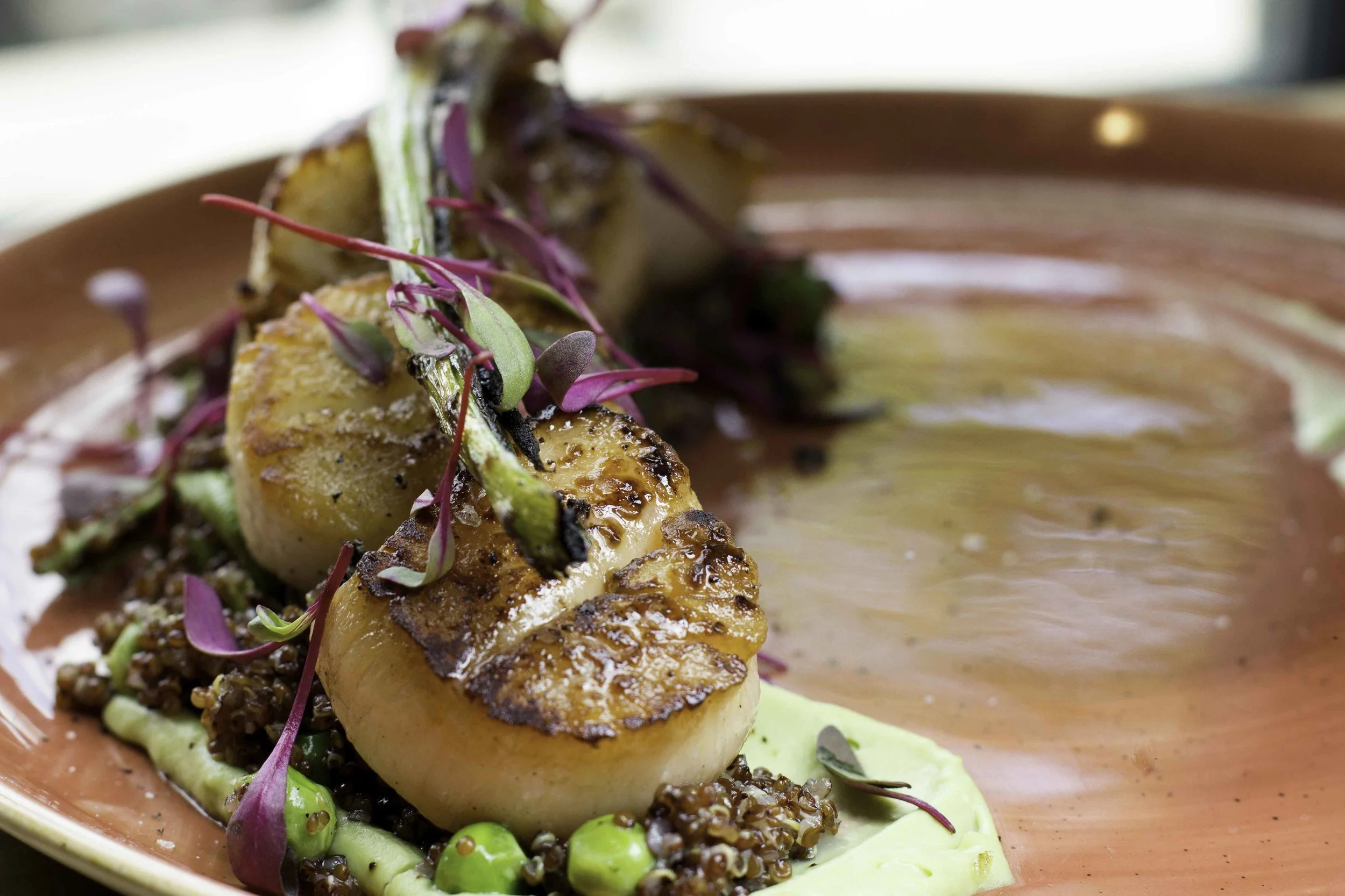 Seared Jumbo Day Boat Scallops - English pea puree, glazed fiddle heads, grilled spring garlic, red quinoa, black garlic sea salt.