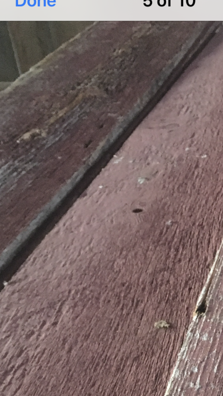 1586C621-DED5-45D2-AD62-3AB0A1E0AEAC