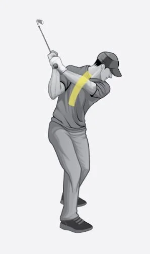 Full Swing Body Scan