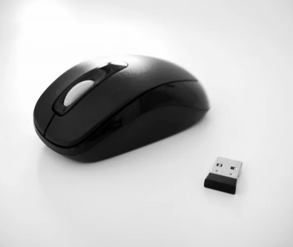 computer-mouse-1378562222jLR.jpg