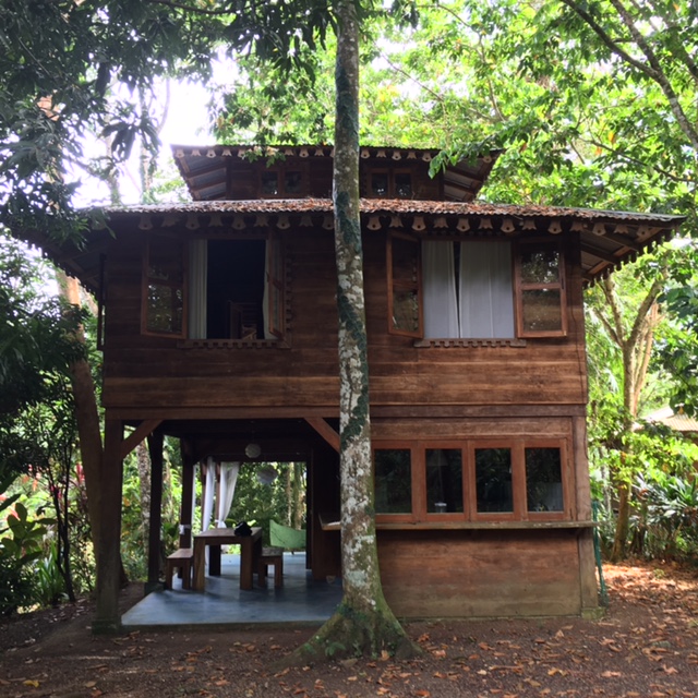 Casa de la Trepada, our jungle home. Hashtag Airbnb.