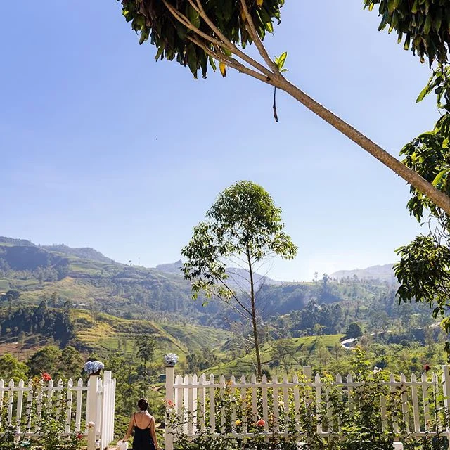 Views for days in tea country 
photo: @brianleahyphoto #MarryMeinSriLanka #planthis ⠀⠀⠀⠀⠀⠀⠀⠀⠀ ⠀⠀⠀⠀⠀⠀⠀⠀⠀⠀⠀ .⠀⠀⠀⠀⠀⠀⠀⠀⠀⠀⠀⠀⠀⠀⠀⠀⠀⠀ .⠀⠀⠀⠀⠀⠀⠀⠀⠀⠀⠀⠀⠀⠀⠀⠀⠀⠀ .⠀⠀⠀⠀⠀⠀⠀⠀⠀⠀⠀⠀⠀⠀⠀⠀⠀⠀ .⠀⠀⠀⠀⠀⠀⠀⠀⠀⠀⠀⠀⠀⠀⠀⠀⠀⠀ . ⠀⠀⠀⠀⠀⠀⠀⠀⠀⠀⠀⠀⠀⠀⠀⠀⠀ #destinationwedding #srilankaweddings #trave