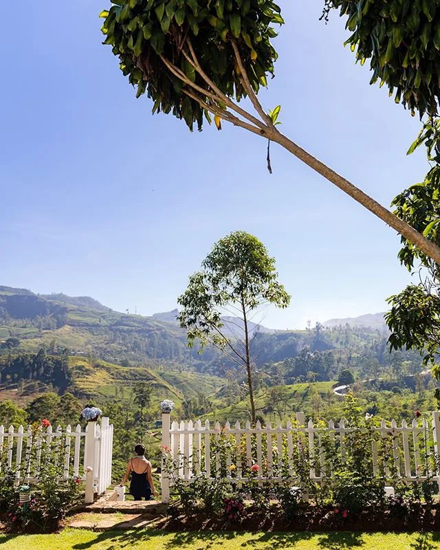 Views for days in tea country 
photo: @brianleahyphoto #MarryMeinSriLanka #planthis ⠀⠀⠀⠀⠀⠀⠀⠀⠀ ⠀⠀⠀⠀⠀⠀⠀⠀⠀⠀⠀ .⠀⠀⠀⠀⠀⠀⠀⠀⠀⠀⠀⠀⠀⠀⠀⠀⠀⠀ .⠀⠀⠀⠀⠀⠀⠀⠀⠀⠀⠀⠀⠀⠀⠀⠀⠀⠀ .⠀⠀⠀⠀⠀⠀⠀⠀⠀⠀⠀⠀⠀⠀⠀⠀⠀⠀ .⠀⠀⠀⠀⠀⠀⠀⠀⠀⠀⠀⠀⠀⠀⠀⠀⠀⠀ . ⠀⠀⠀⠀⠀⠀⠀⠀⠀⠀⠀⠀⠀⠀⠀⠀⠀ #destinationwedding #srilankaweddings #trave