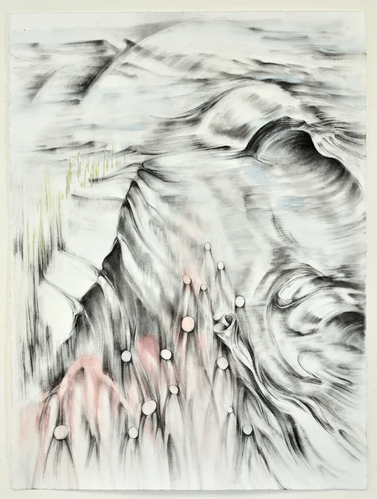 FINS, The Shore