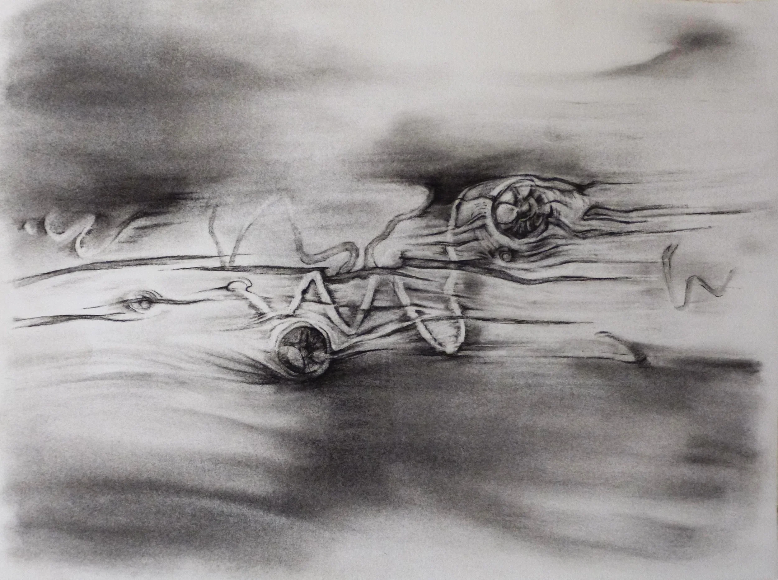 GSD, Study 3, Driftwood & Sky