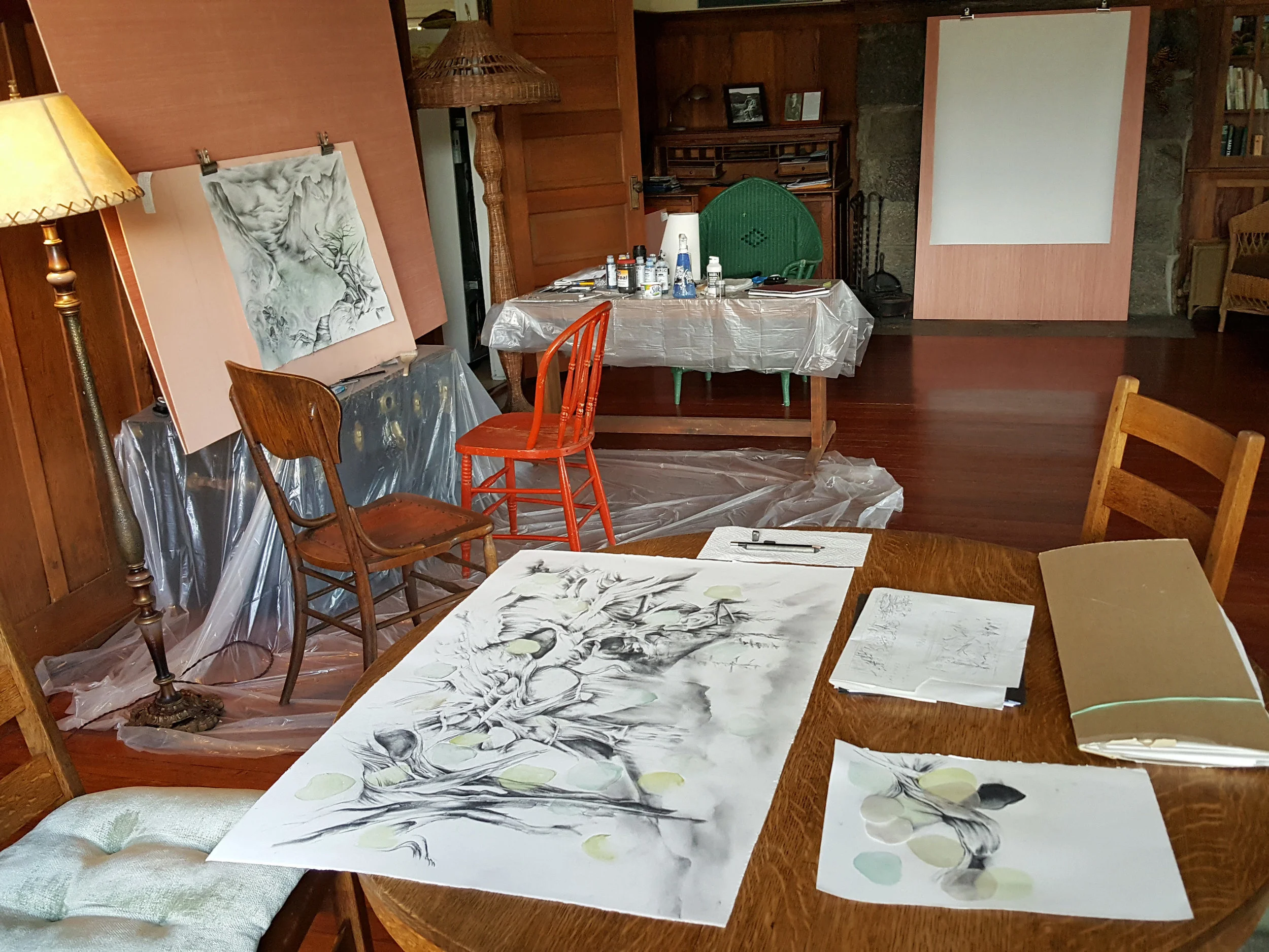 RMNP, Studio