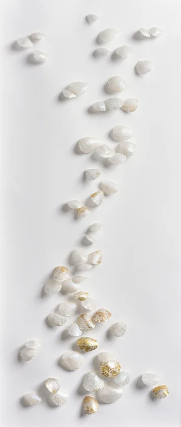 Patterns of Migration 1