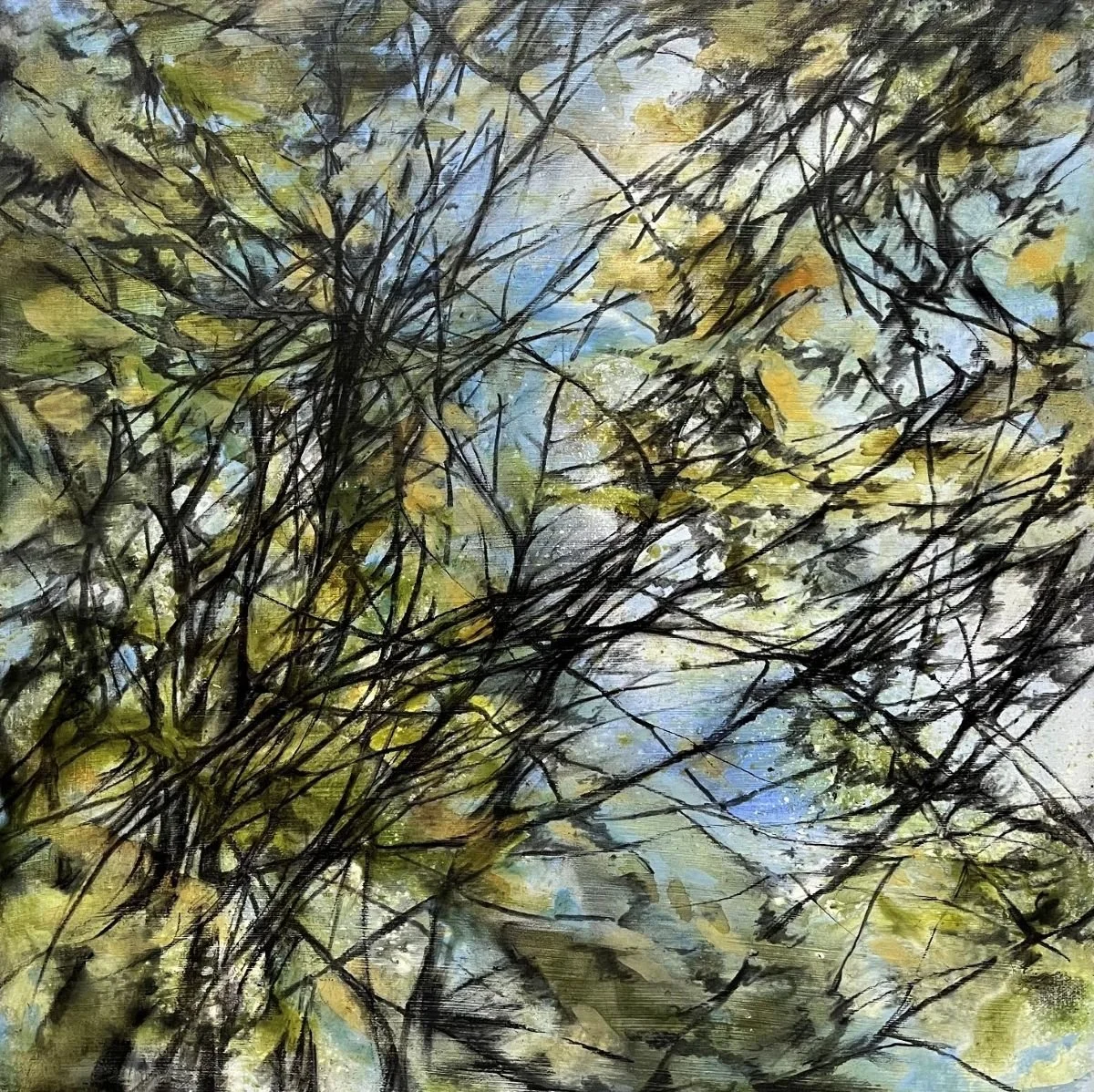 Sky View