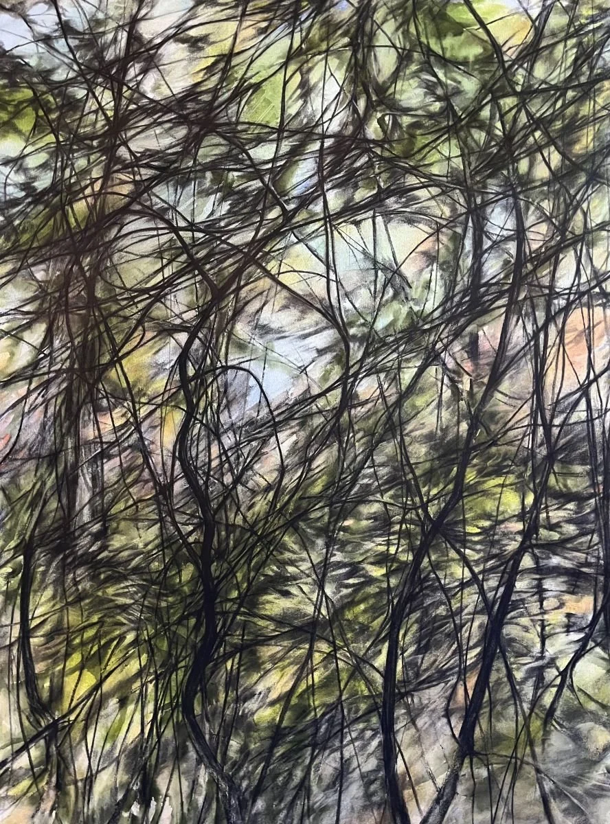 Thicket 1