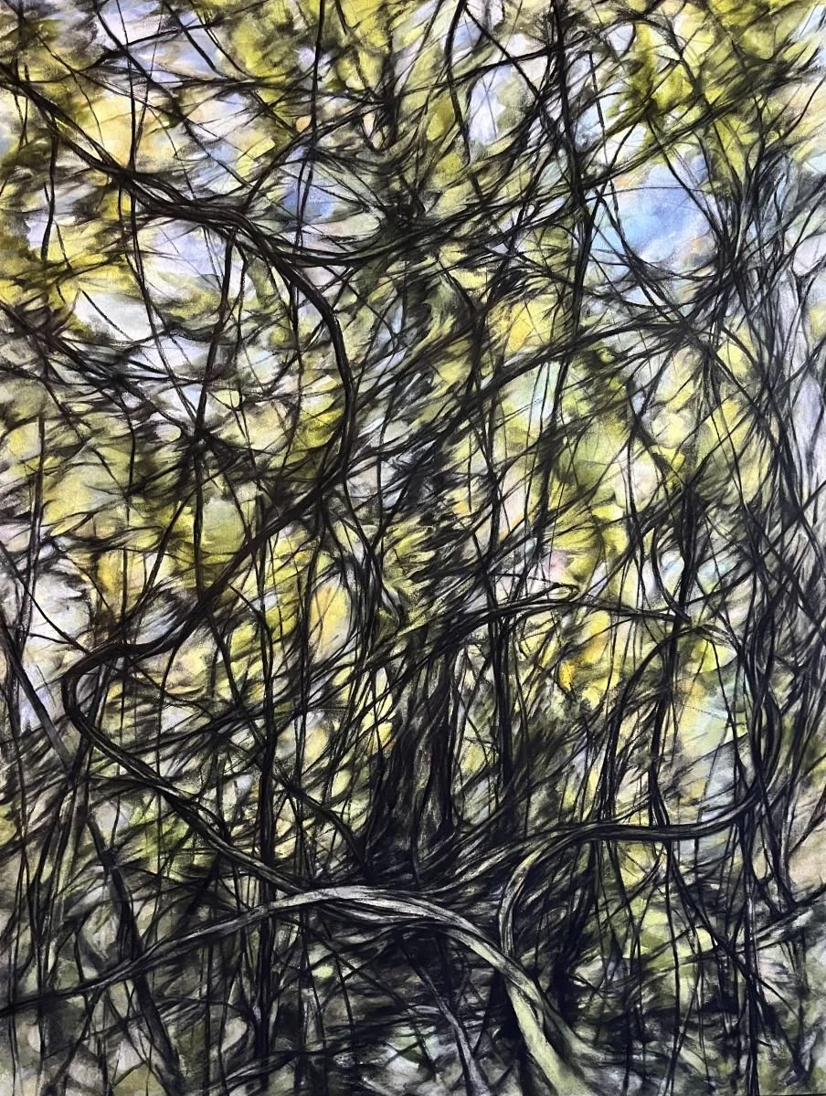 Thicket 2