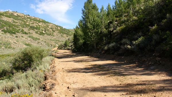 beaver-creek04.jpg