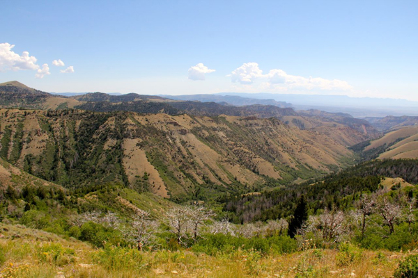 beaver-creek06.jpg