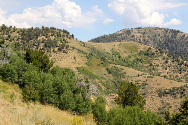 beaver-creek07.jpg