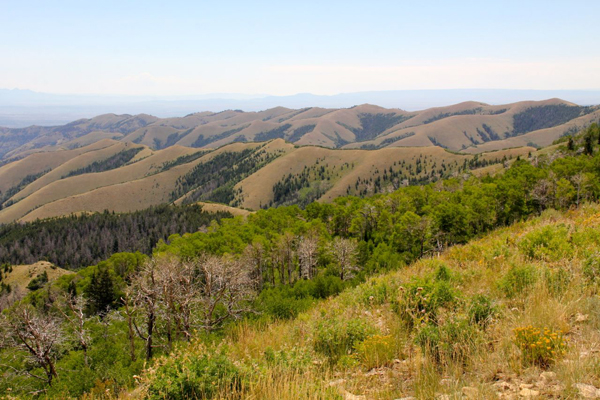 beaver-creek09.jpg