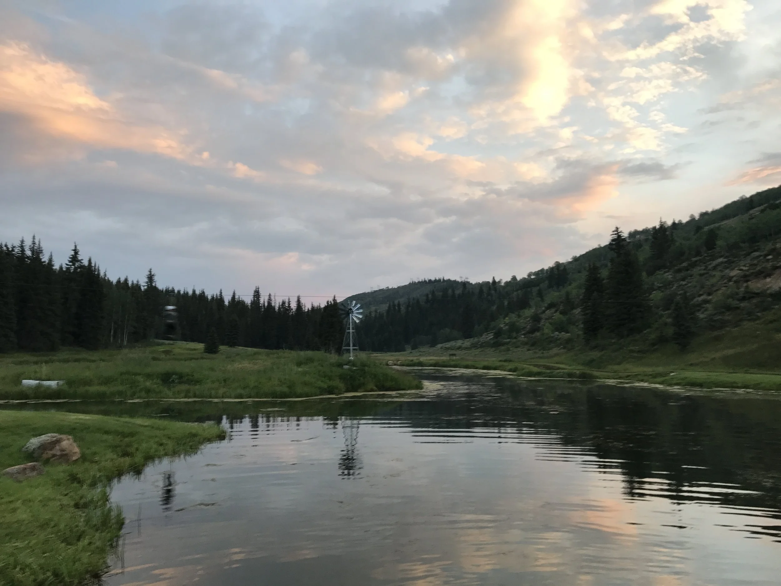 2017-08-04 20.28.07.jpg
