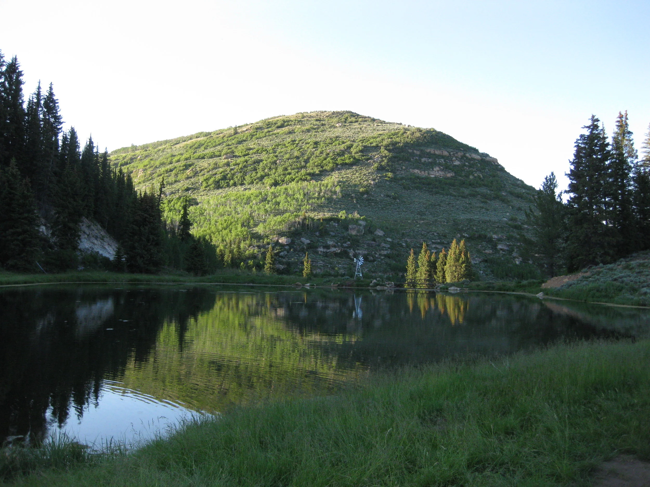 IMG_4287.JPG