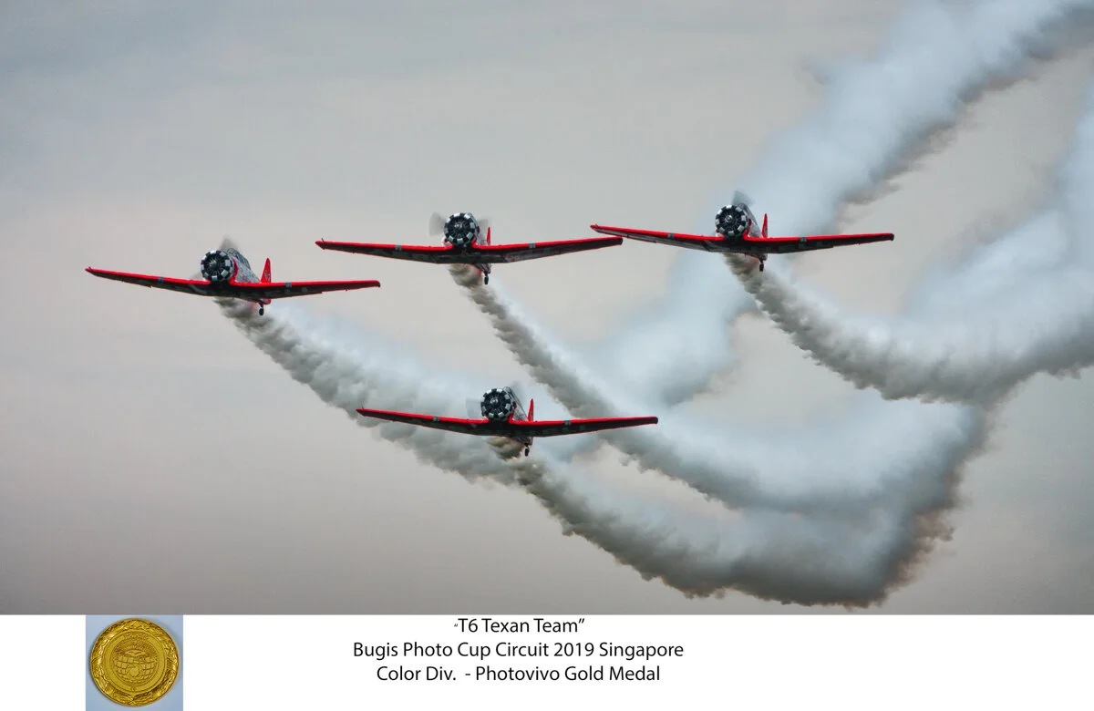 T6 Texan Team-Edit.jpg