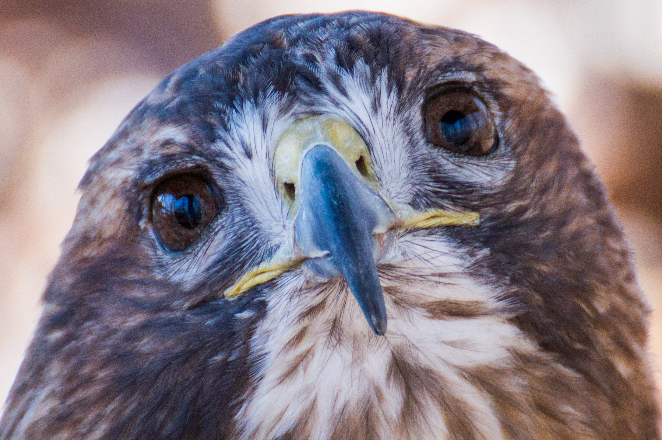 Land Between the Lakes