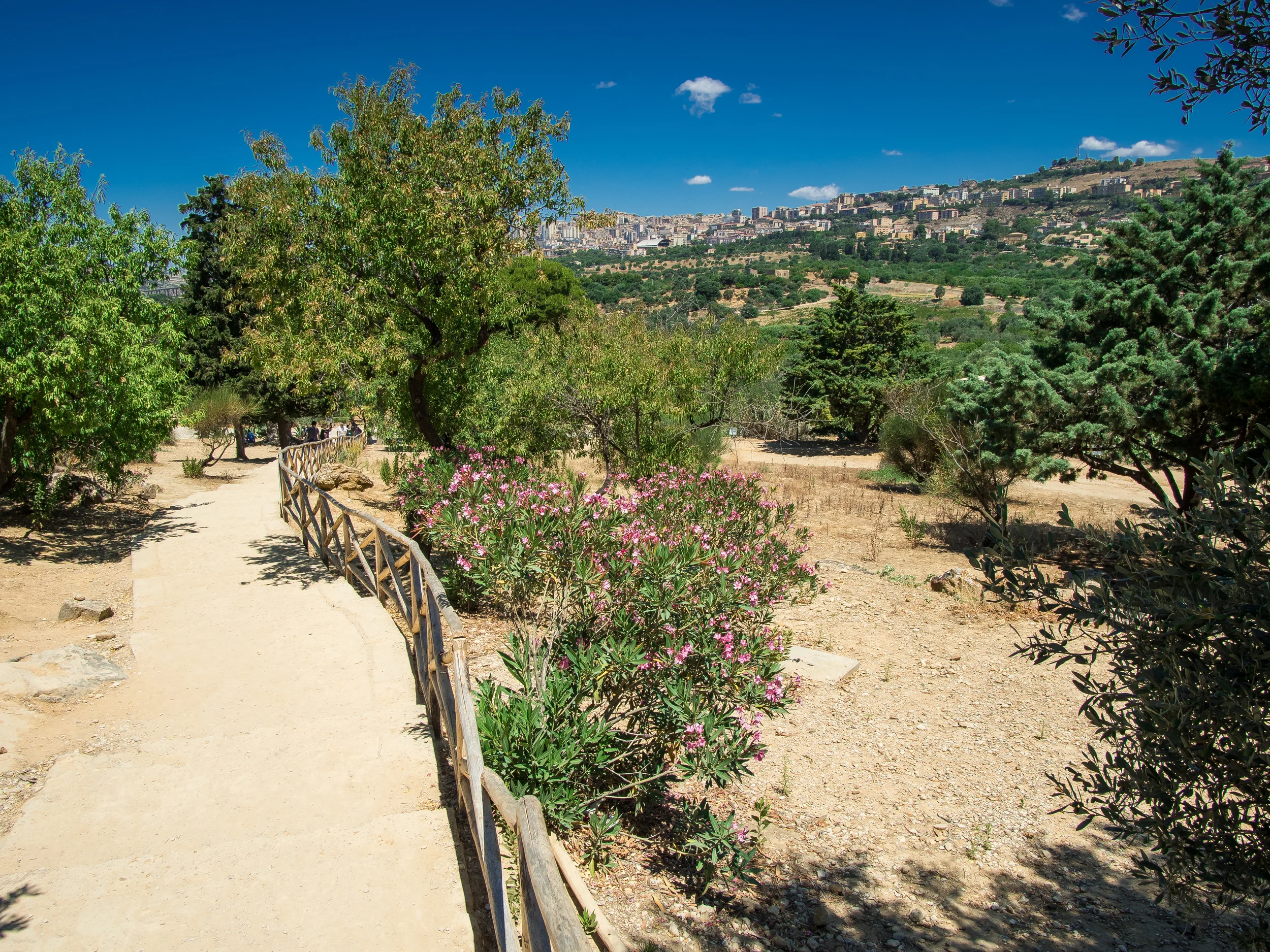Agrigento and G-Temples_-14.jpg