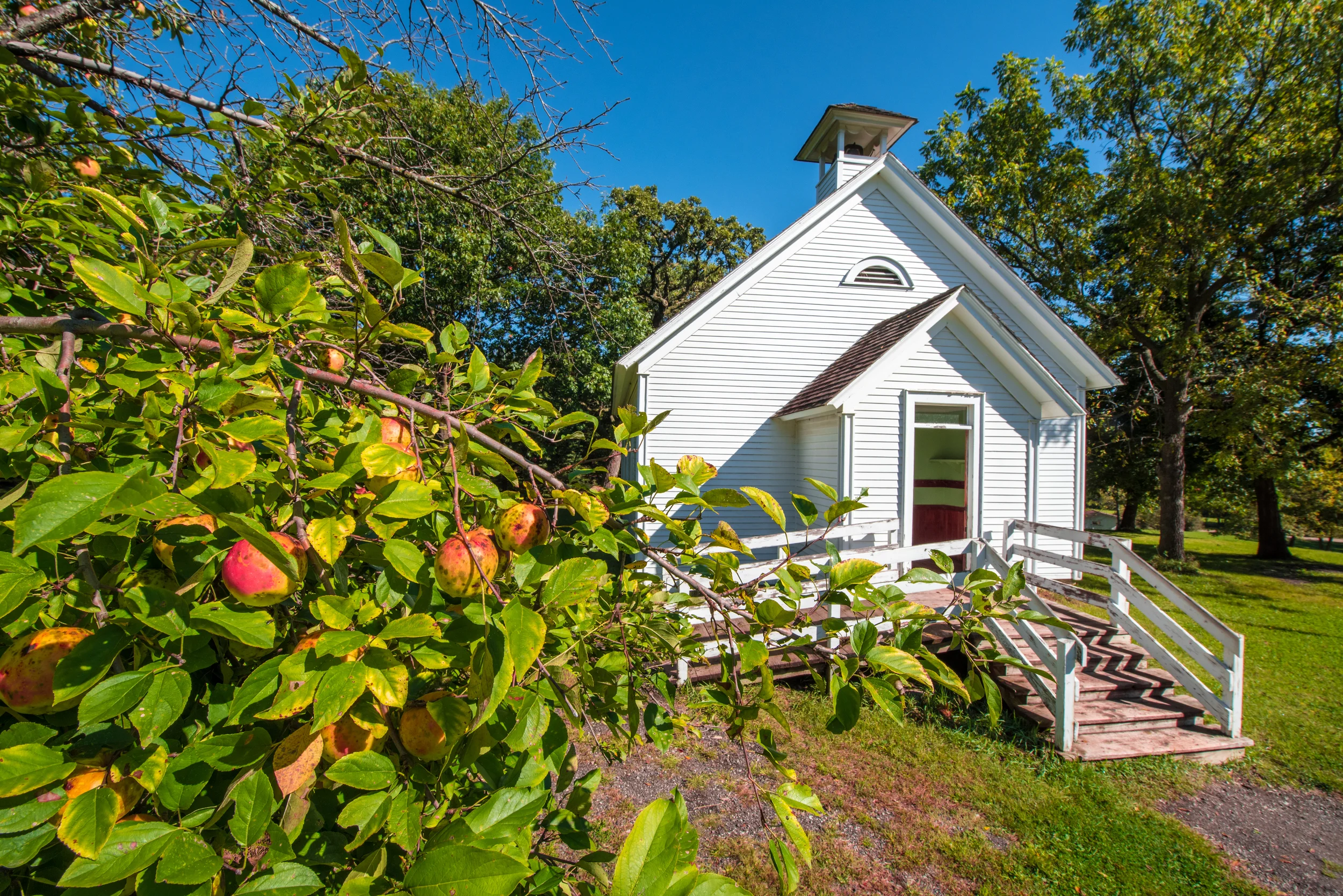 Shot on a tripod above my head of an apple tree by the old schoolhouse using an ultra-wide lens.