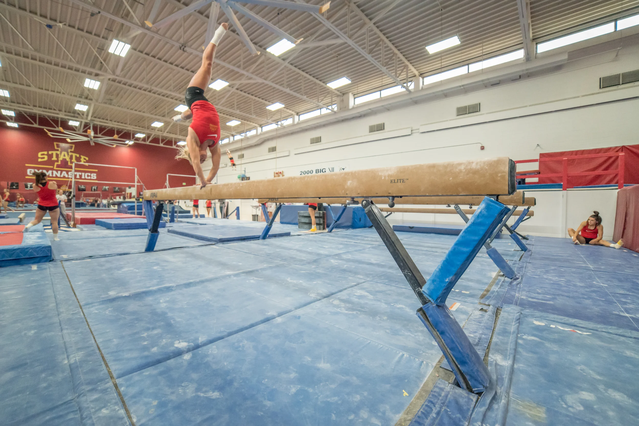 Haylee Young ISU Gymnastics-7.jpg