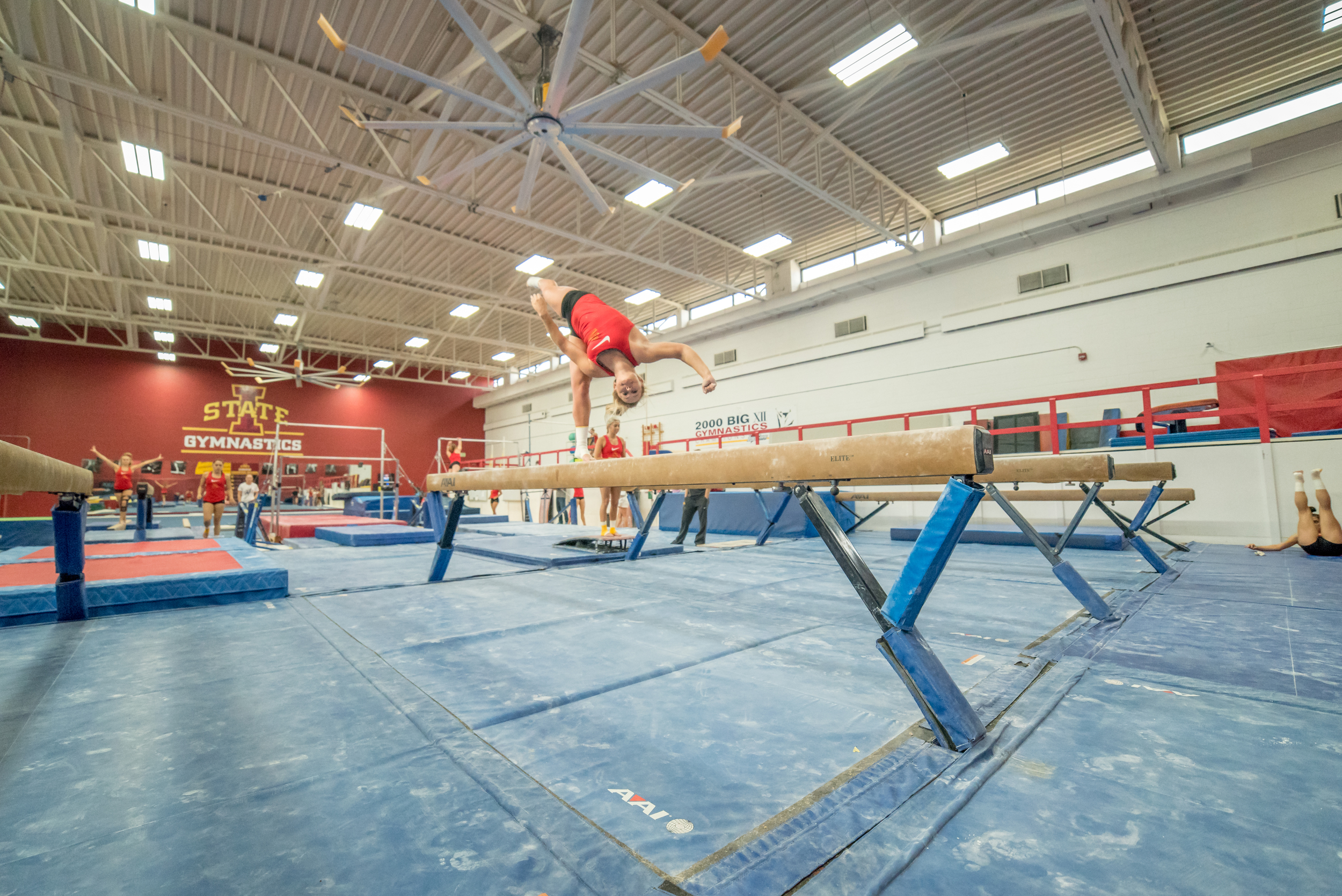 Haylee Young ISU Gymnastics-9.jpg