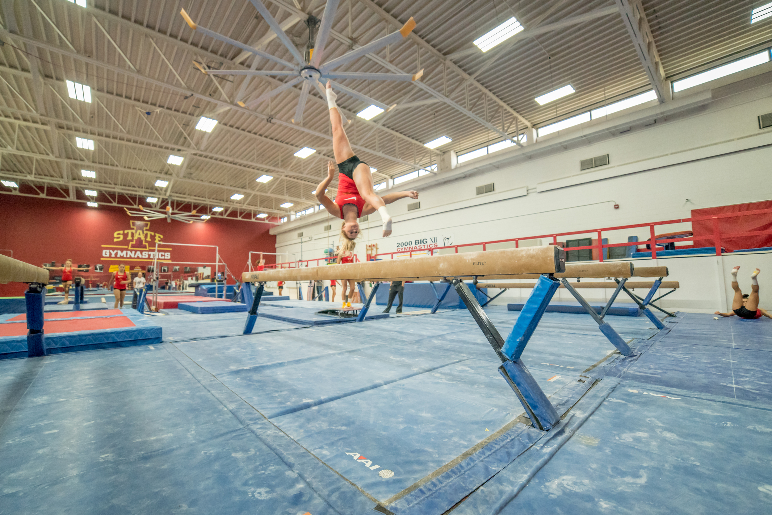 Haylee Young ISU Gymnastics-10.jpg